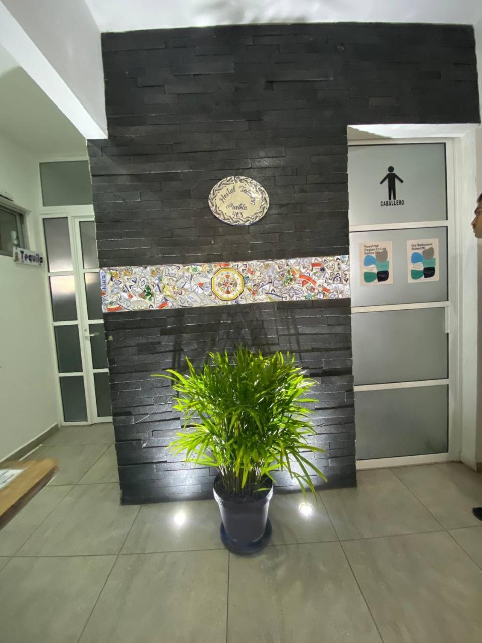 Hostal Talavera بويبلا المظهر الخارجي الصورة